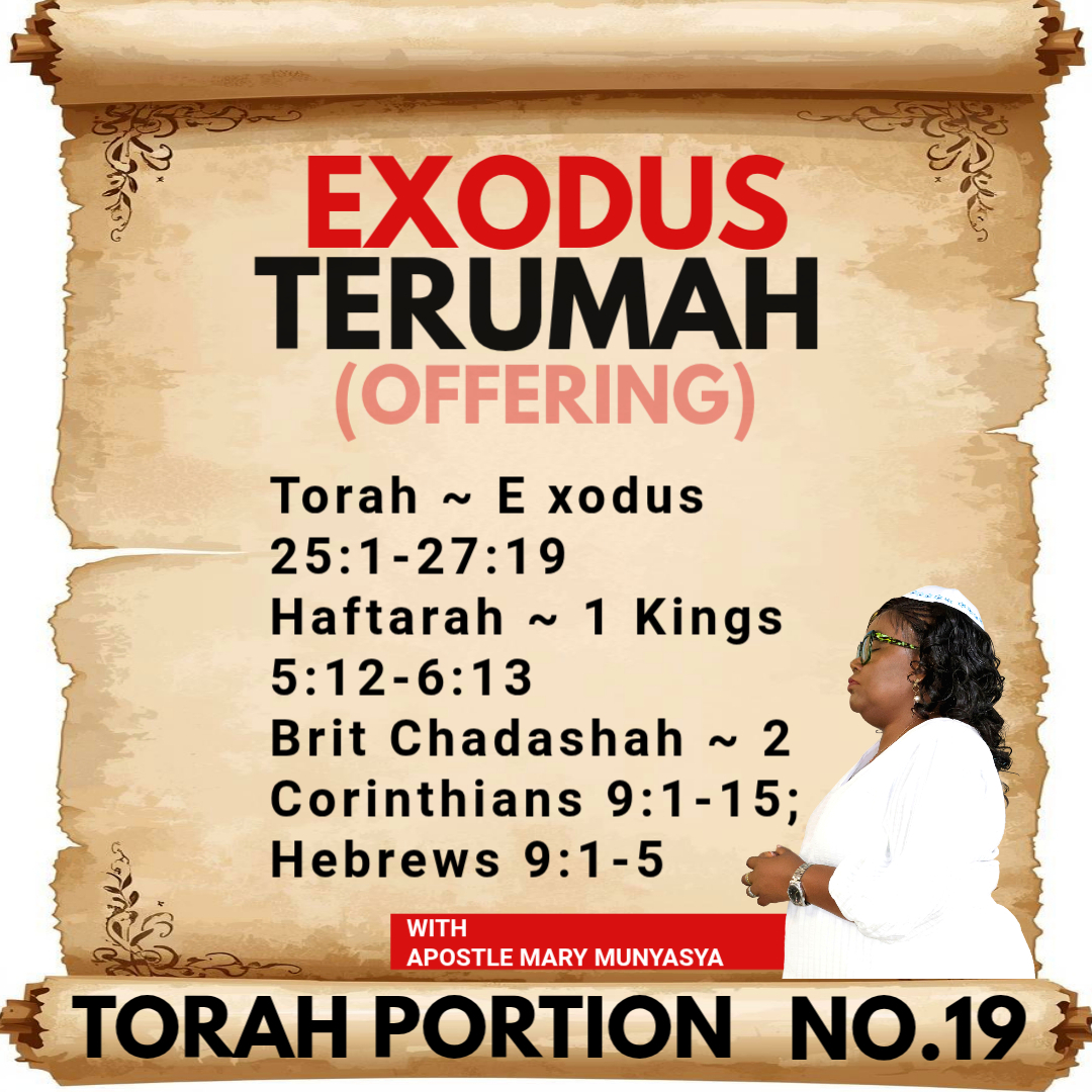 Torah Portion